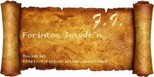 Forintos István névjegykártya